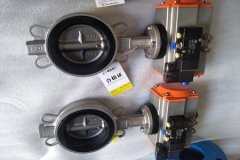 氣動蝶閥的結構形式和特點？